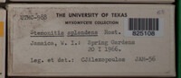 Image Associated With the Occurence